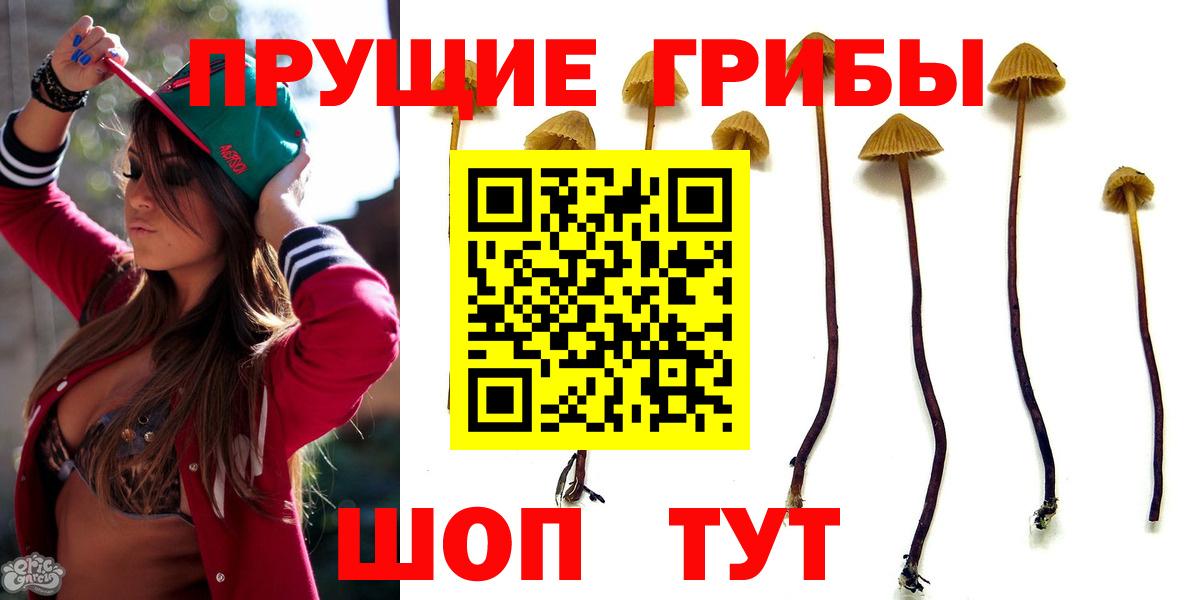 Псилоцибиновые грибы мицелий Люберцы