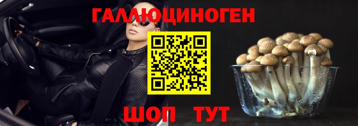 Люберцы  Галлюциногенные грибы Cubensis  Вход с VPN 