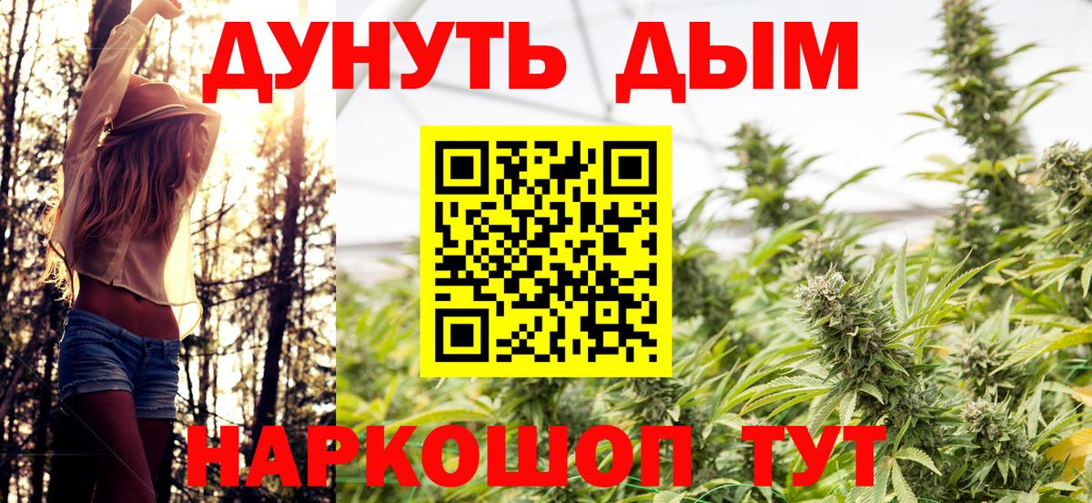 Канабис сатива Люберцы